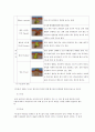 여드름과 색소침착 5페이지