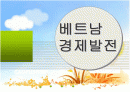 베트남의 경제발전 1페이지