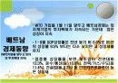 베트남의 경제발전 14페이지