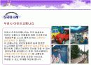 꿈의 발전소 사업계획서 PPT자료입니다. 11페이지