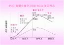 SM 엔터테인먼트의 전략적 마케팅 8페이지