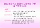SM 엔터테인먼트의 전략적 마케팅 10페이지