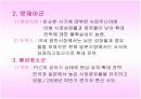 SM 엔터테인먼트의 전략적 마케팅 11페이지