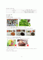보건교육(당뇨) 19페이지