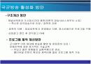 국군방송의 활성화 방안 13페이지