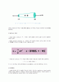 [체육학] 항공스포츠와 스포츠공학분야의 연계성 3페이지