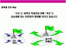 여성 화장품 브랜드 이미지 renewal new campaign 전략 기획서 18페이지