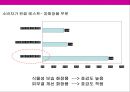 여성 화장품 브랜드 이미지 renewal new campaign 전략 기획서 31페이지