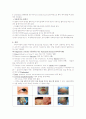카와사키병 케이스&간호진단 2페이지
