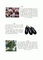 고지혈증의 모든 자료 16페이지