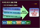 2008년 미국, 유럽, 중국의 경제위기 원인 및 현황 14페이지