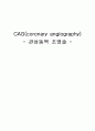 [논문] CAG(coronary angiography) 1페이지