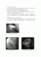 [논문] CAG(coronary angiography) 5페이지