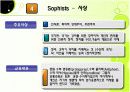 교육철학 및 교육사 – 그리스 (소크라테스, 플라톤, 아리스토텔레스, 소피스트) 14페이지