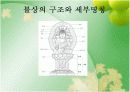 한국의 불상 6페이지