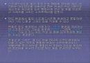 MICROSOFT&IBM 14페이지