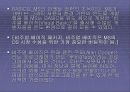 MICROSOFT&IBM 24페이지
