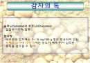 만병통치약 감자 10페이지