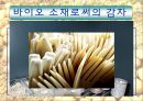 만병통치약 감자 24페이지