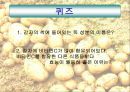 만병통치약 감자 25페이지
