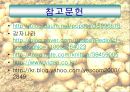 만병통치약 감자 26페이지