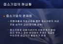 중소기업의 정의 및 현황과 활성화를 위한 방안 61페이지