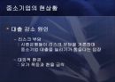 중소기업의 정의 및 현황과 활성화를 위한 방안 62페이지
