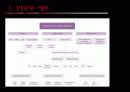 P D P(Plasma Display Panel) 3페이지