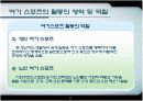 시냉쥬 스포츠사회학 17페이지