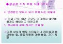 조직문화적응을 위한 인간관계전략 14페이지