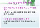 조직문화적응을 위한 인간관계전략 23페이지