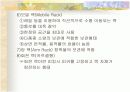 창고운영과 관리 14페이지