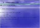 서비스 경영사례 - 스칸디나비아항공 10페이지