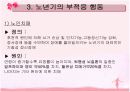 노년기 PPT 19페이지