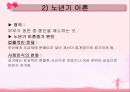노년기 PPT 21페이지