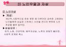 노년기 PPT 23페이지