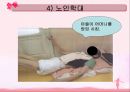 노년기 PPT 29페이지