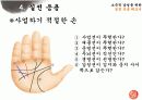 손금에 대하여 10페이지