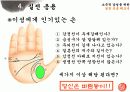 손금에 대하여 11페이지