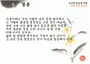 손금에 대하여 13페이지