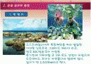 관광정보의 기능과 중요성 종류와 이용 관광정보시스템 10페이지