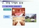 관광사업의 종류와 특징 8페이지