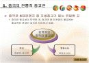 중국의 종교 정책과 현황(파워포인트) 3페이지