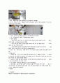 농산식품학-jam,jelly 9페이지