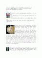 [마케팅원론] 3M의 마케팅 전략 분석 ['A+레포트'] 27페이지