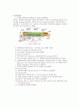 누에 견사선 DNA정제 4페이지