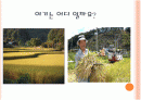 초등학교 6학년 음악 풍년가ppt 2페이지