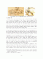 규장각의 도서관적 기능 13페이지