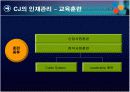 CJ 인적자원관리 17페이지