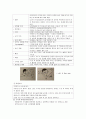  망막박리  3페이지